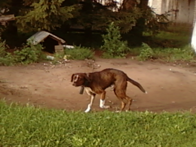 Nuotrauka0364.jpg