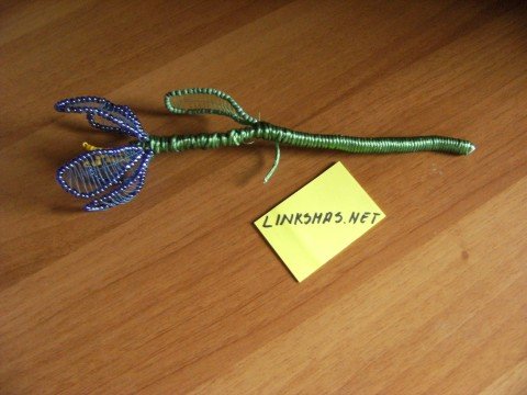 Paveikslėlis