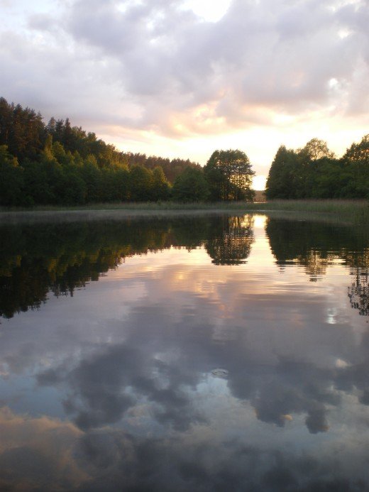 Paveikslėlis