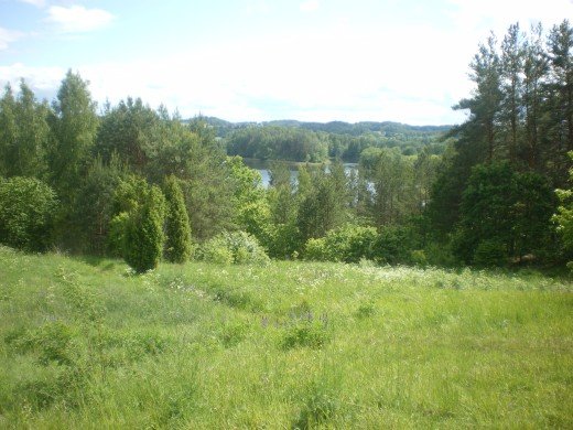 Paveikslėlis