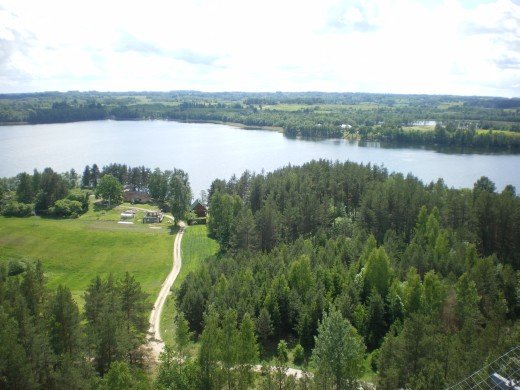Paveikslėlis