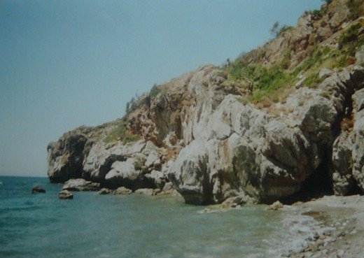 Paveikslėlis