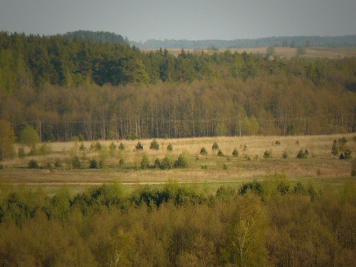 Paveikslėlis