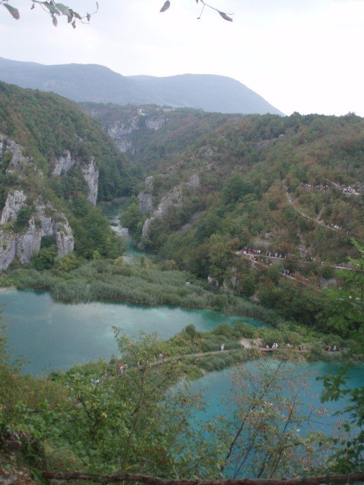 Paveikslėlis