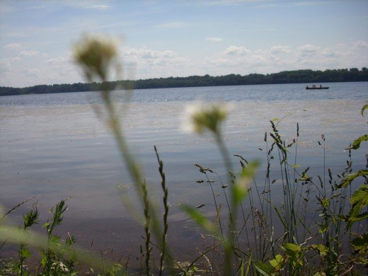 Paveikslėlis