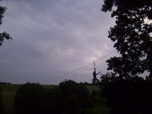 Paveikslėlis