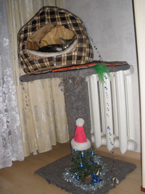 Paveikslėlis